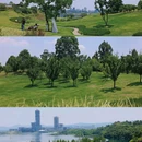 兴隆湖湿地公园-南门 - 成都市旅游 缩略图 5