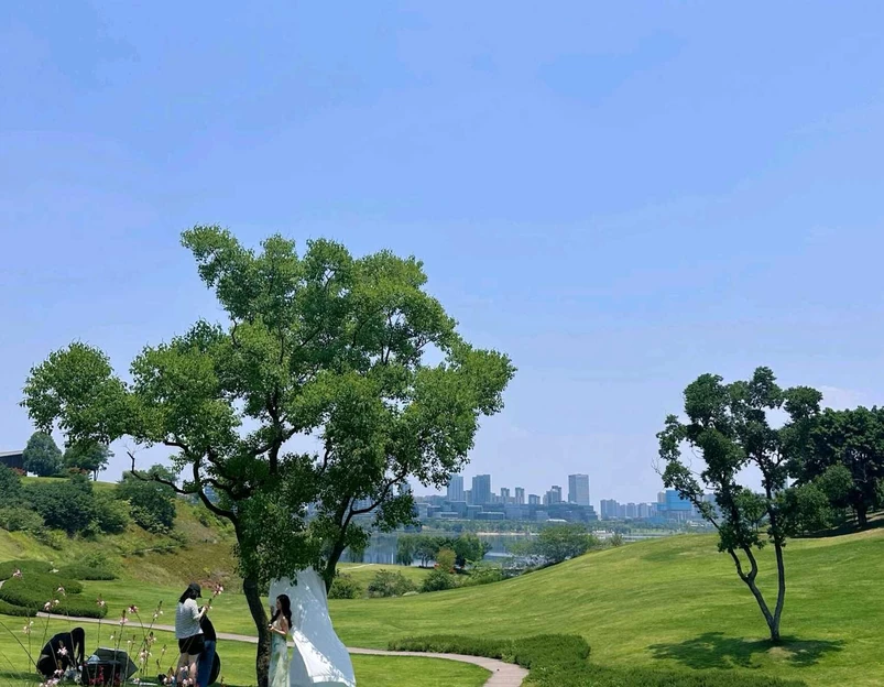 兴隆湖湿地公园-南门 - 成都市旅游 1