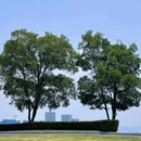 兴隆湖湿地公园-南门 - 成都市旅游 缩略图 9