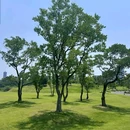 兴隆湖湿地公园-南门 - 成都市旅游 缩略图 8