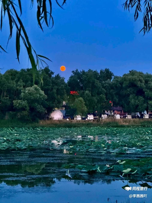 崔家窑湿地公园 - 北京市旅游