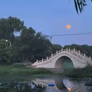 崔家窑湿地公园 - 北京市旅游 缩略图 4