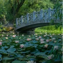 合肥植物园 - 合肥市旅游 缩略图 1