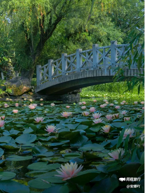 合肥植物园 - 合肥市旅游