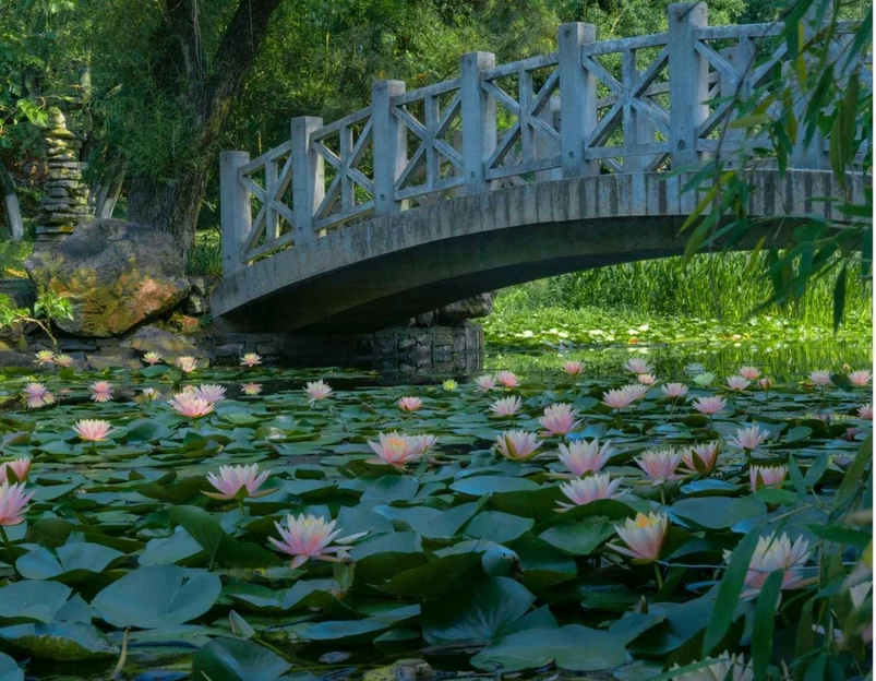 合肥植物园 - 合肥市旅游 1