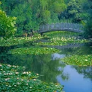 合肥植物园 - 合肥市旅游 缩略图 5