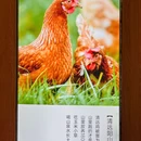 小顺天· 知味顺德(罗湖 KKTIME店) - 深圳市旅游 缩略图 7