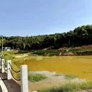 八家寨生态农庄 - 长沙市旅游 缩略图 9