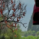 阳朔诺顿庄园(遇龙河十里画廊店) - 桂林市旅游 缩略图 3