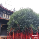 大慈寺 - 成都市旅游 缩略图 4