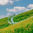 云上草原国际山地旅游度假区北弄停车场 - 湖州市旅游 缩略图 5