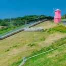 云上草原国际山地旅游度假区北弄停车场 - 湖州市旅游 缩略图 6