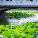北京紫竹院公园 - 北京市旅游 缩略图 5