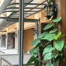亿啡丽呈明宇酒店(告庄星光夜市店) - 西双版纳傣族自治州旅游 缩略图 6