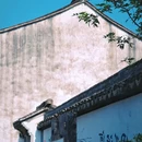 西兴古镇 - 杭州市旅游 缩略图 7