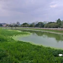 藏书院村 - 广州市旅游 缩略图 7