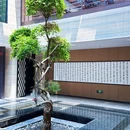 景御唐 - 成都市旅游 缩略图 4