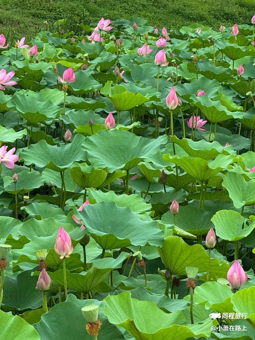 云林生态体育公园 - 无锡市旅游