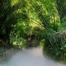 川西竹海 - 乐山市旅游 缩略图 1