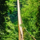 川西竹海 - 乐山市旅游 缩略图 5