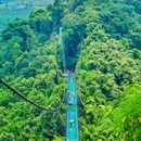 川西竹海 - 乐山市旅游 缩略图 7