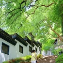 晓霞弄 - 杭州市旅游 缩略图 5