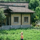 青木川古镇 - 汉中市旅游 缩略图 3
