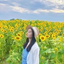 汪家湾花海 - 成都市旅游 缩略图 5