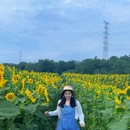 汪家湾花海 - 成都市旅游 缩略图 6