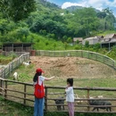 悦山青云.山顶营地 - 阿坝藏族羌族自治州旅游 缩略图 6
