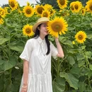 汪家湾花海 - 成都市旅游 缩略图 7