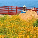 石雀滩 - 青岛市旅游 缩略图 2