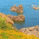 石雀滩 - 青岛市旅游 缩略图 5