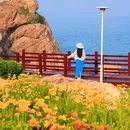 石雀滩 - 青岛市旅游 缩略图 7