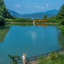 桐庐云崖瀑布咖啡 - 杭州市旅游 缩略图 6