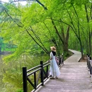 闲山·雨花茶院 - 南京市旅游 缩略图 5