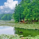 闲山·雨花茶院 - 南京市旅游 缩略图 7