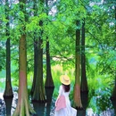 闲山·雨花茶院 - 南京市旅游 缩略图 8