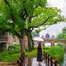盐官潮乐之城国际旅游度假区 - 嘉兴市旅游 缩略图 1
