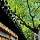 东交民巷 - 北京市旅游 缩略图 3