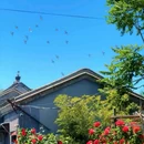 东交民巷 - 北京市旅游 缩略图 7