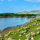 新疆库车天山神秘大峡谷景区 - 阿克苏地区旅游 缩略图 5