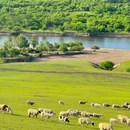 新疆库车天山神秘大峡谷景区 - 阿克苏地区旅游 缩略图 8