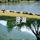 龙兴寺 - 台州市旅游 缩略图 3