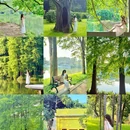 华南植物园-水生植物园 - 广州市旅游 缩略图 1