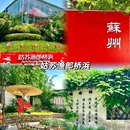 拙政园 - 苏州市旅游 缩略图 8