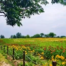 西安金地广场 - 西安市旅游 缩略图 2