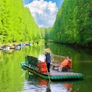 金湖水上森林景区 - 淮安市旅游 缩略图 4