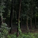 潼渚桥[公交站] - 无锡市旅游 缩略图 9