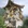 北京市·白瀑寺